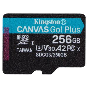 Kingston Canvas Go! Plus, Tarjeta de memoria microSD de 256 GB · SDCG3/256GB