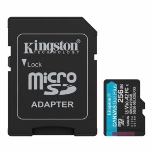 Kingston Canvas Go! Plus, Tarjeta de memoria microSD de 256 GB · SDCG4/256GB