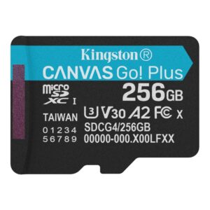 Kingston Canvas Go! Plus, Tarjeta de memoria microSD de 256 GB · SDCG4/256GB